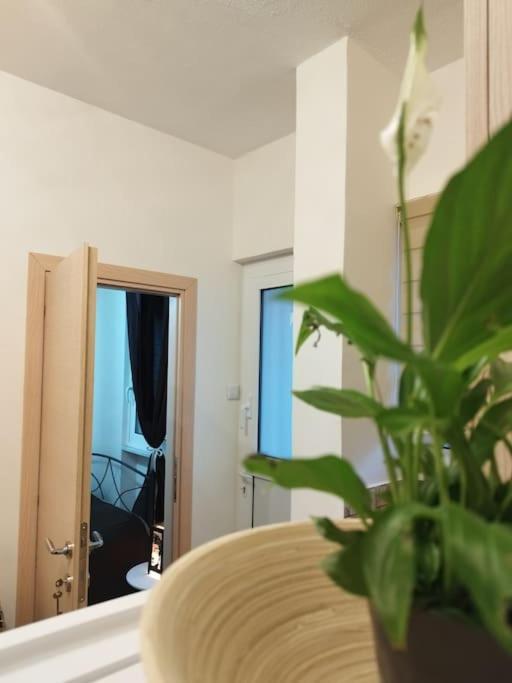 Esteticaapartments Rhodes City Ngoại thất bức ảnh